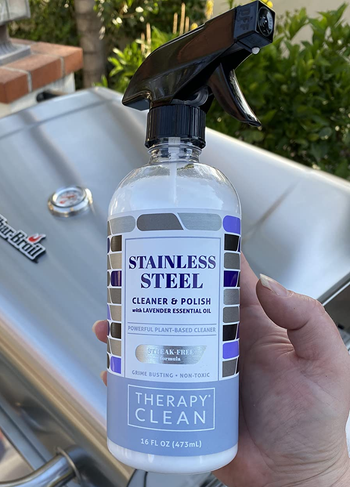 reviewer holding the stainless steel cleaner spray bottle