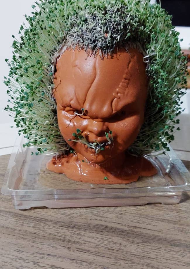 reviewer's Chucky head chia pet with sprouts all over it