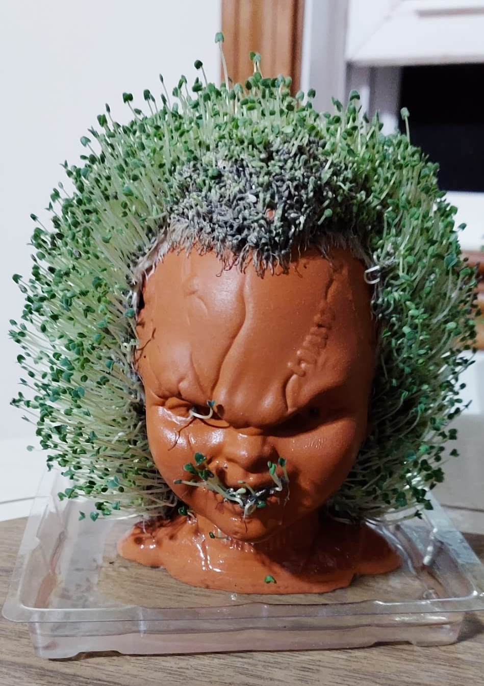 reviewer's Chucky head chia pet with sprouts all over it