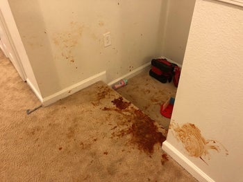 reviewers stairs covered in ketchup