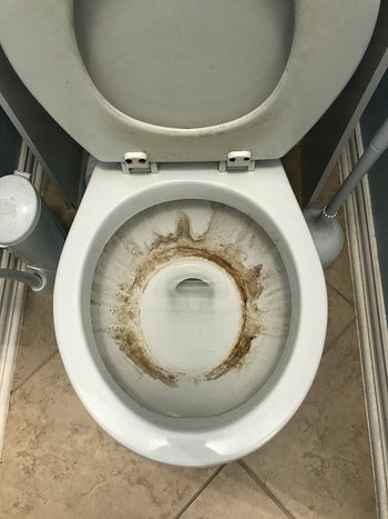 reviewer before image of a stained toilet boil