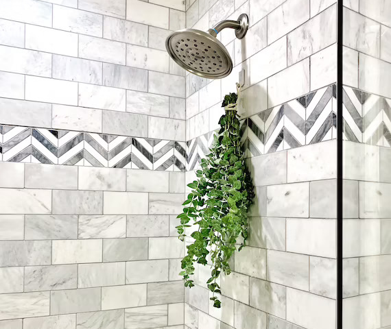 a eucalyptus bundle hanging from a shower wall underneath the shower head 