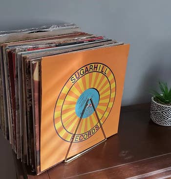 reviewer's gold organizer holding records