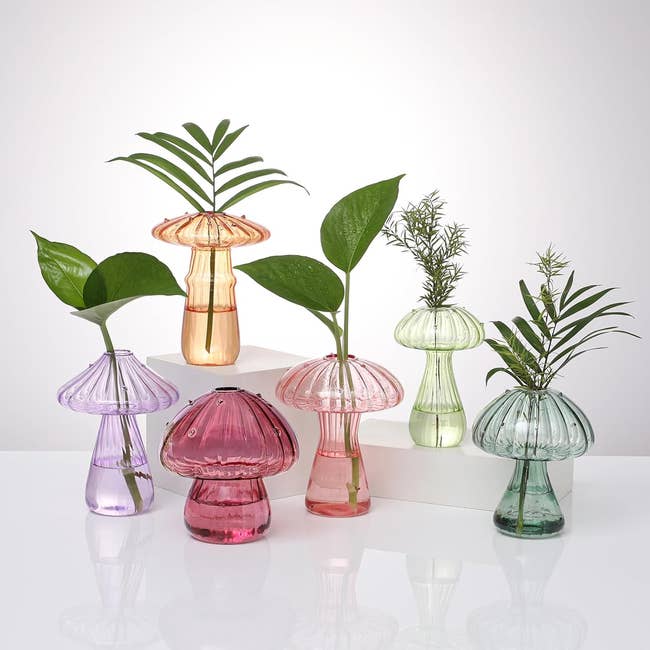 Glass mushroom-shaped vases successful  varying sizes and colors holding  tiny  greenish  plants