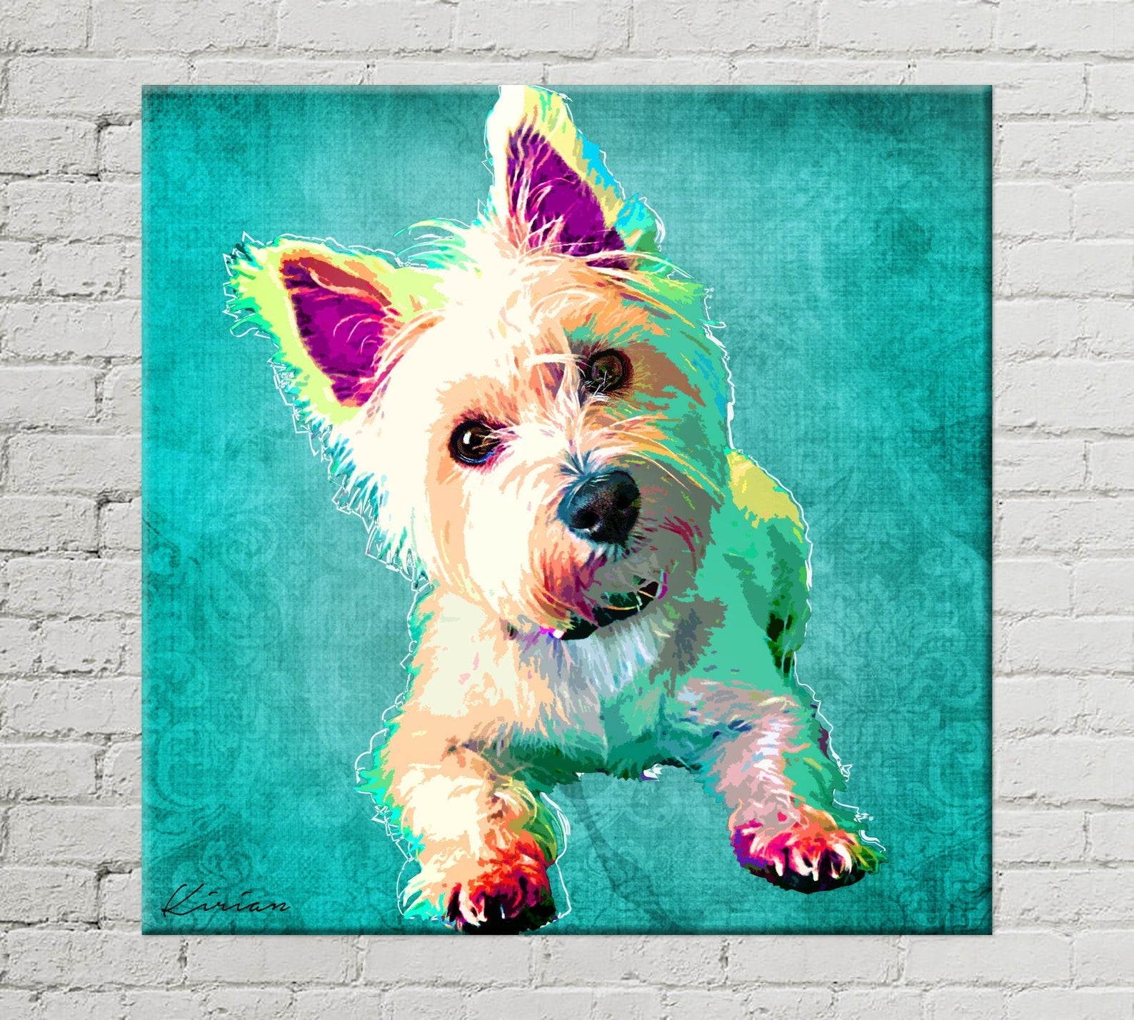 portrait of a small dog against a teal background