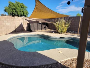 Backyard with a curved pool, shaded area with a sun sail