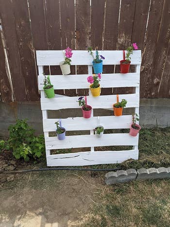 A white pallet garden with assorted potted plants affixed, against a fence for shopping decor inspiration