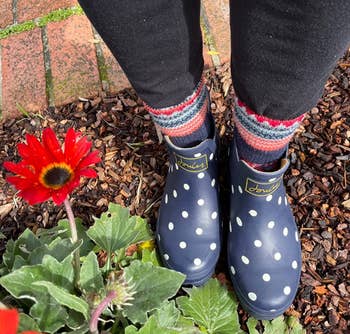 the blue and white polka dog wellies on a reviewer's feet