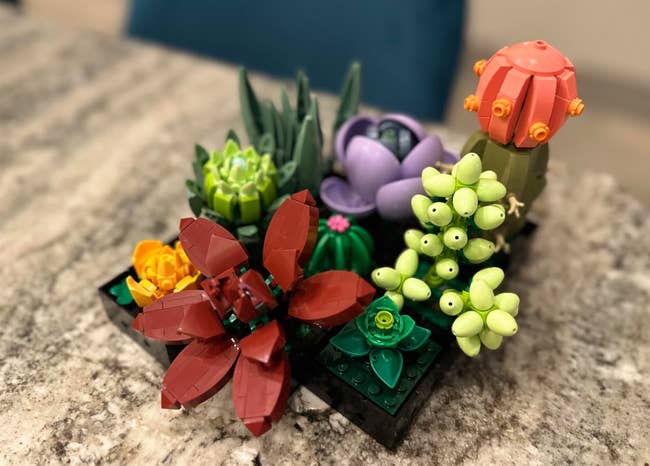 reviewer photo of the lego succulent kit