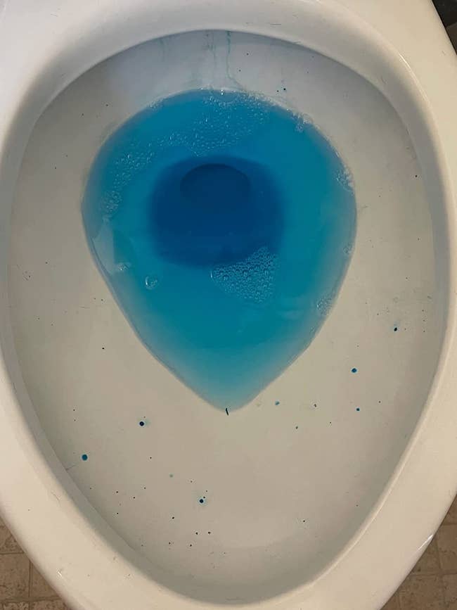 reviewer photo of bright blue water in the toilet bowl