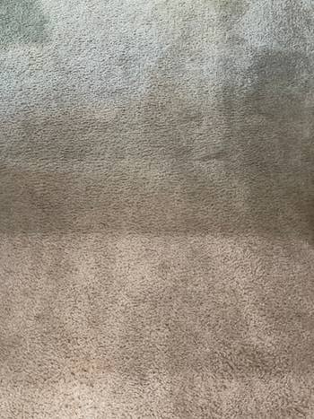 same area of carpet clean