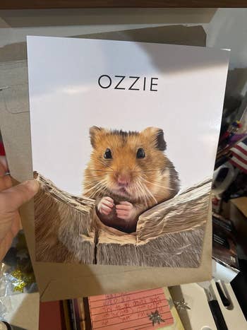 Poster of a hamster labeled 