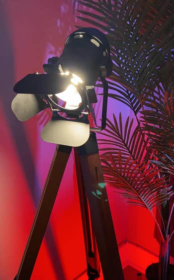 Floor lamp designed to resemble a classic studio light next to a plant, providing an industrial feel to home decor