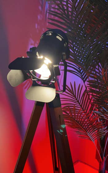 Floor lamp designed to lucifer a classical workplace airy adjacent to a plant, providing an concern consciousness to location decor