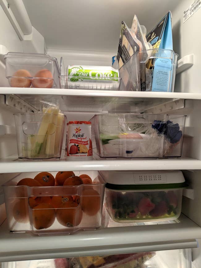 reviewer's fridge with food organized in each shelf 