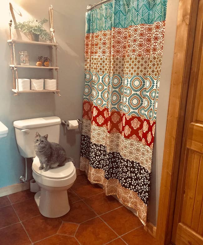 a reviewer photo of a bathroom with the shower curtain hung up and a cat sitting on a toilet 