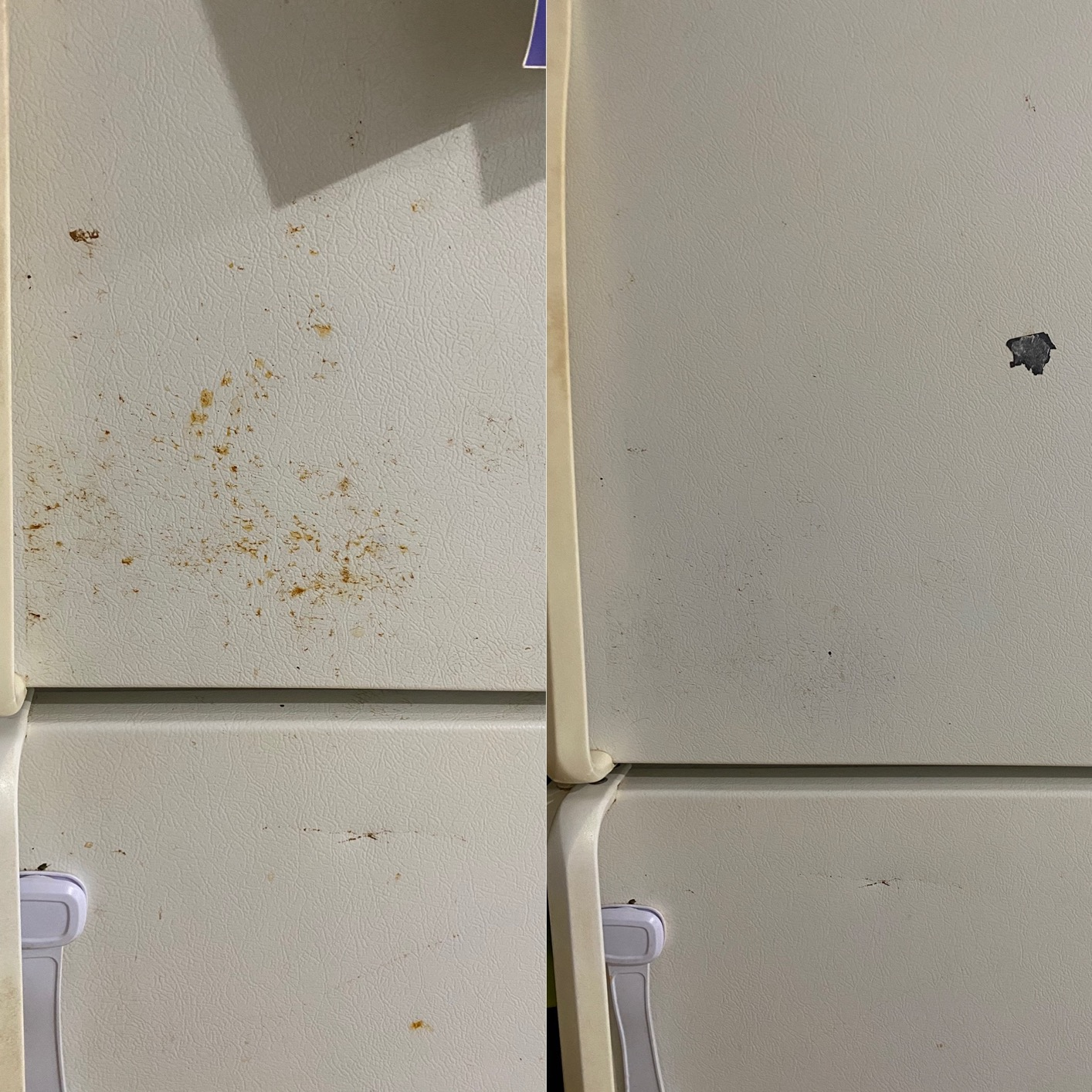 reviewer's rust-stained fridge and then after completely clean