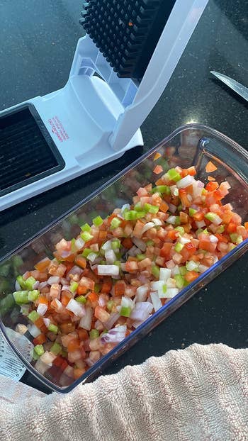 reviewer showing chopped veggies successful the container, including tomatoes, peppers, and onions for salsa