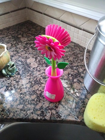the flower scrub brush on a kitchen sink, sitting in a matching pink vase