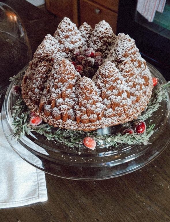 reviewer's mountain shaped bundt cake on cake stand in kitchen