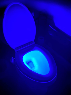 a reviewer photo of the toilet bowl illuminated with blue light 