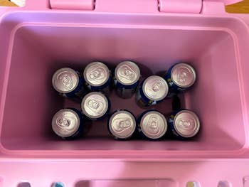 Ten soda cans neatly arranged successful  a pinkish  cooler
