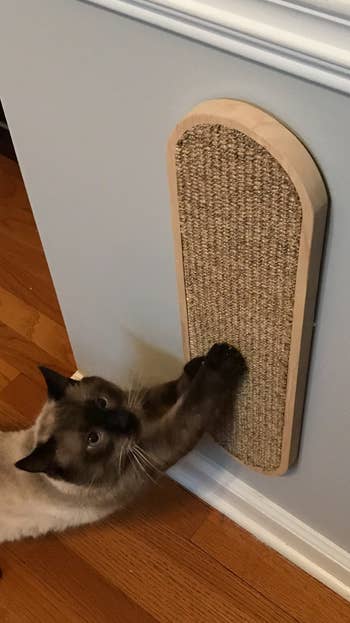 a reviewer's siamese cat using the scratching post