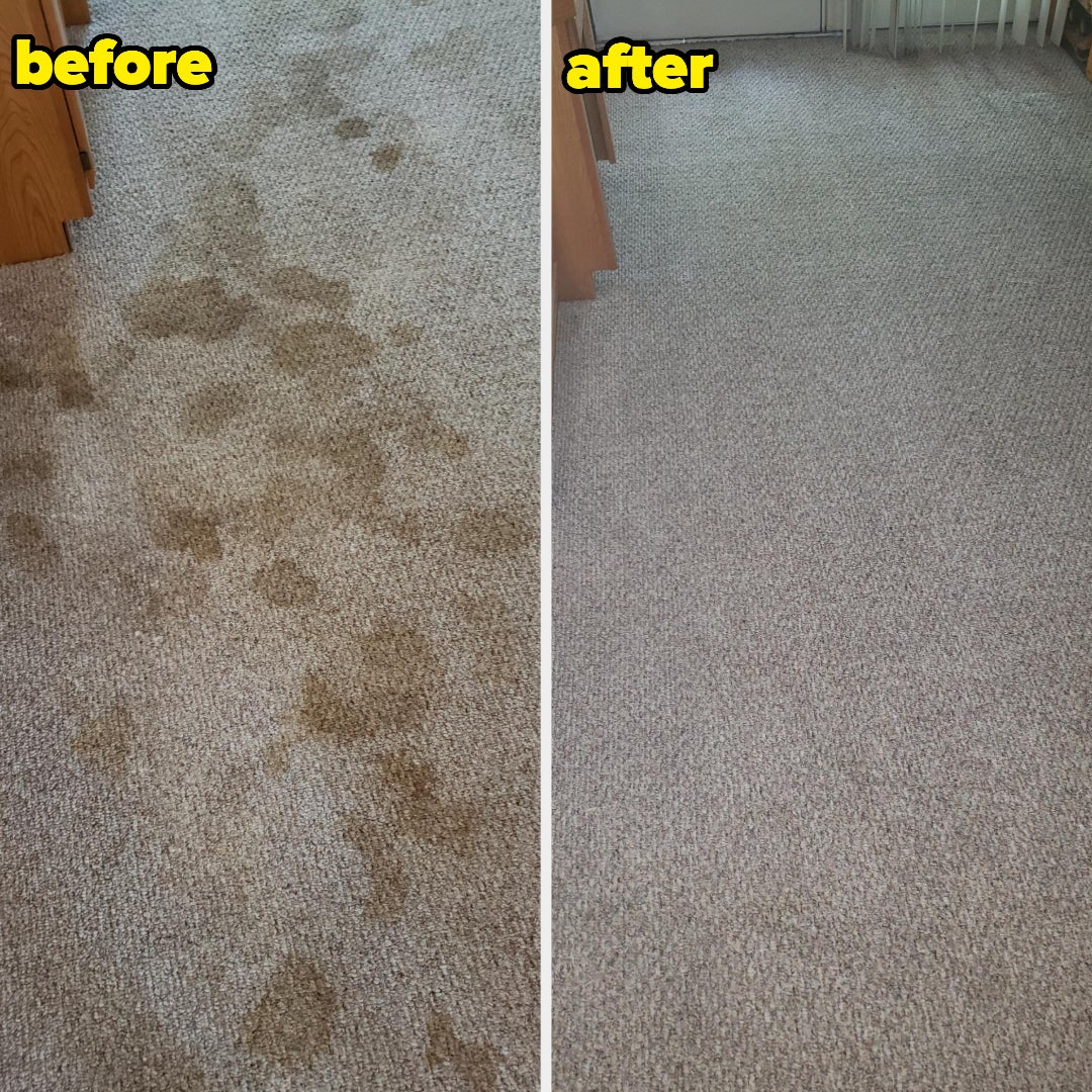 a before and after of a carpet that was covered in all sorts of urine stains, with the after photo looking super clean with zero stains left