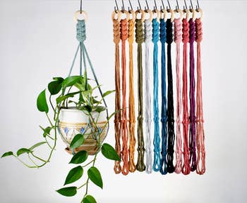 Image of several different colored macrame planters 