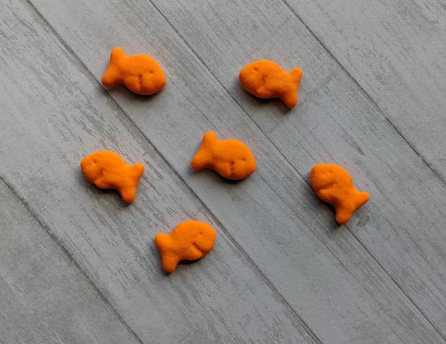 six goldfish magnets displayed on a table