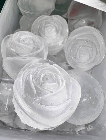 Several floral-shaped ice sculptures displayed in a freezer 