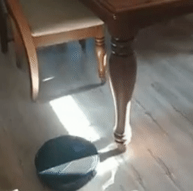 reviewer gif of the robot mop/vacuum gliding along a floor and pivoting to avoid hitting pieces of furniture