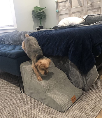 Reviewer image of side view of product at the end of a bed with dog walking down it on top of gray carpet