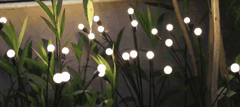 LED plot lights resembling fireflies among plants
