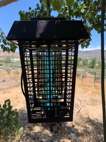 the bug zapper hanging outside