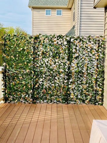 another reviewer photo showing it used for privacy from neighbors on a patio