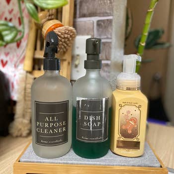 Three bottles on a counter: all-purpose cleaner, dish soap, and foaming hand soap with a gingerbread design. Background includes a plant and a scrub brush