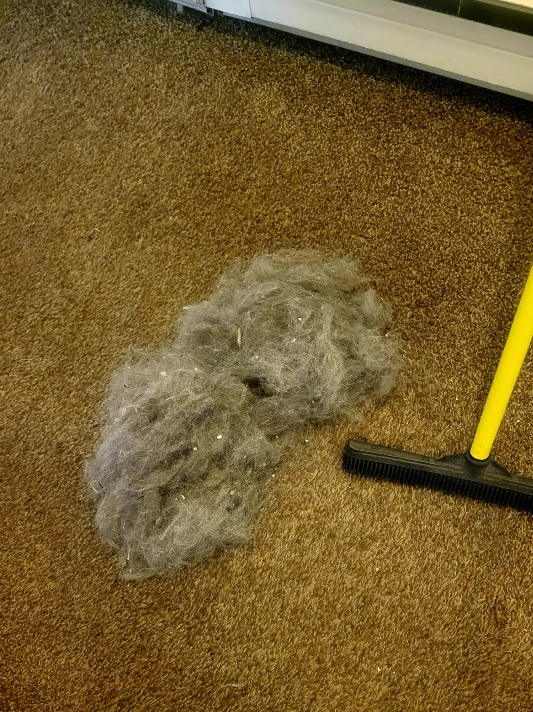 FURemover Pet Hair Rubber Broom:  Reviews