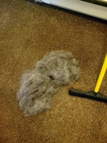 the brush next to a pile of pet hair