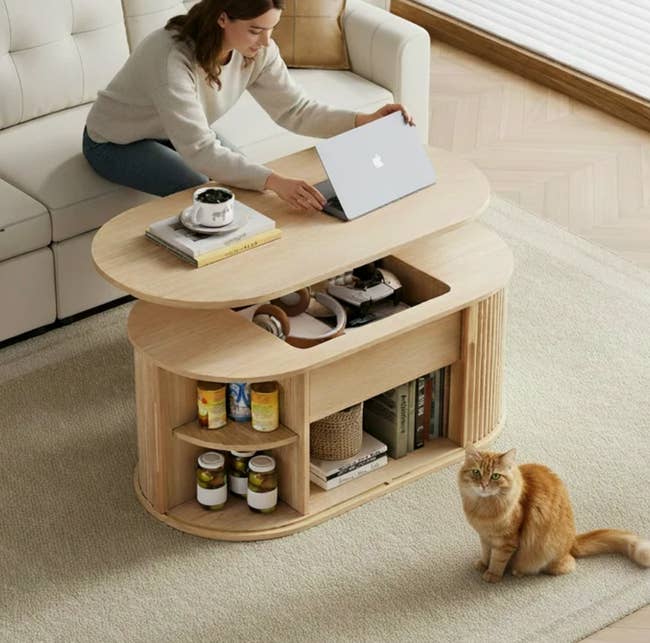 Person utilizing a laptop connected an adjustable woody java array with storage, featuring a little support with cans and books; a feline sits nearby
