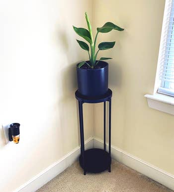 reviewer photo of black plant stand in corner of the room