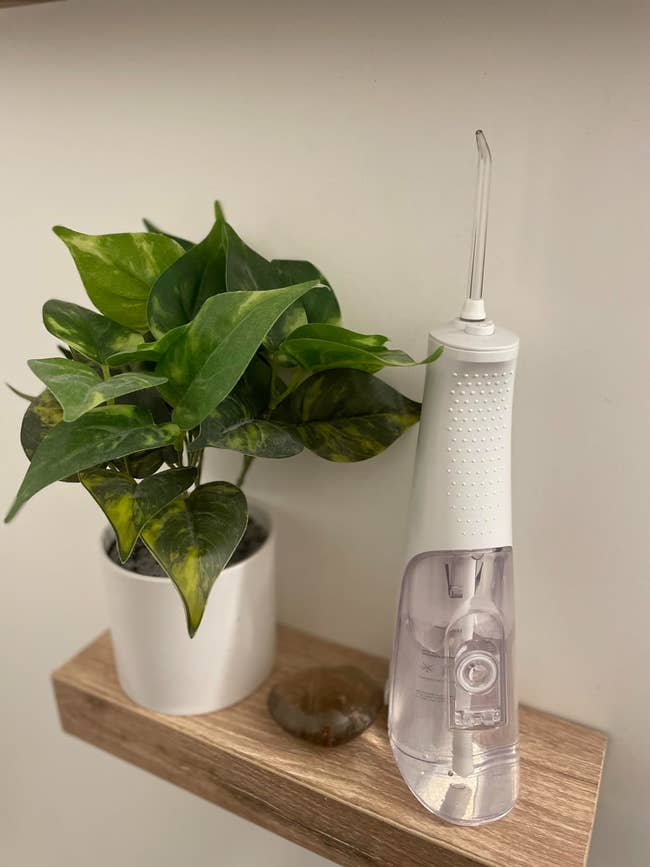 Portable h2o flosser connected a support beside a potted plant