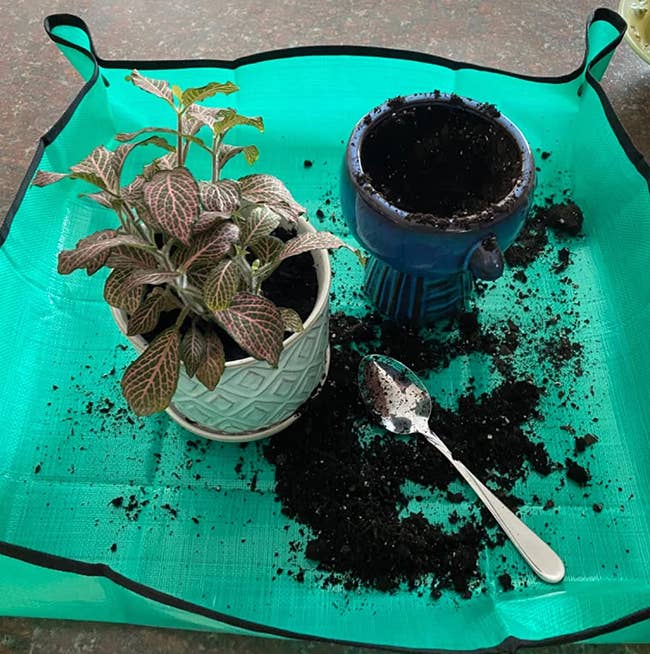 Reviewer's photo of gardening mat with pots and soil