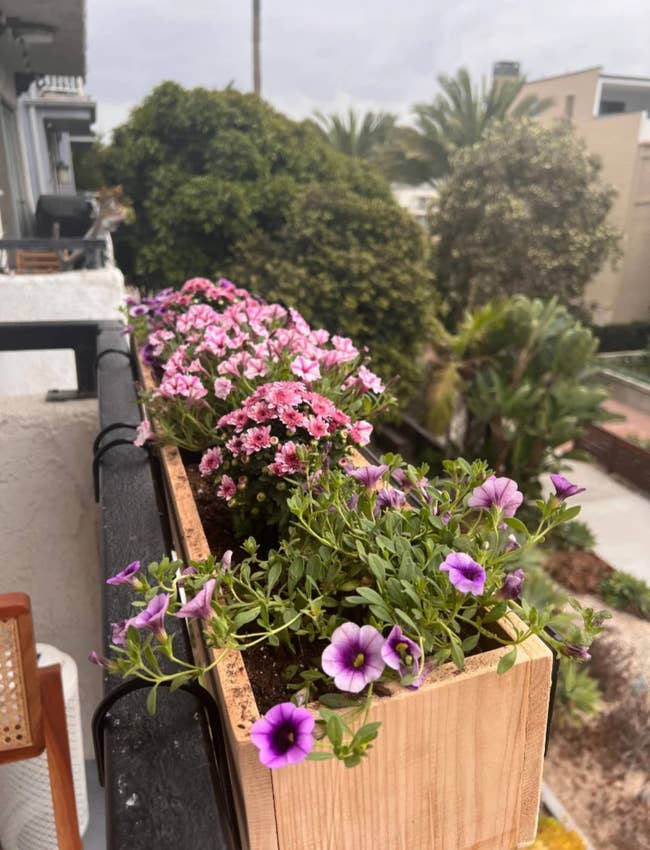 pink and purple flowers in a hanging wooden planter box