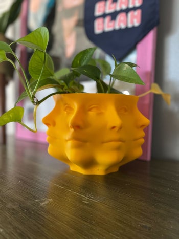 tangerine-colored planter with 3D-printed face design storing a green plant
