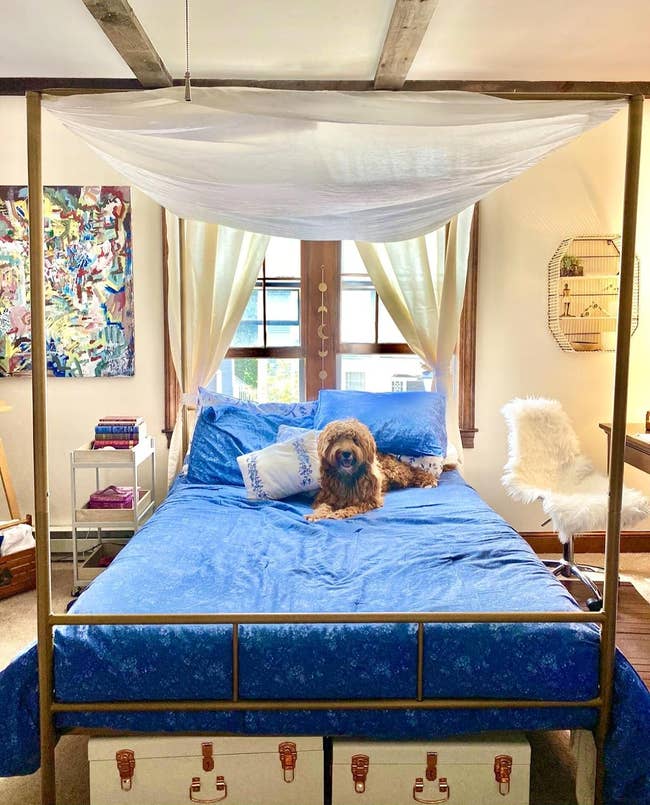 the bed frame with a curtain strung up over the top