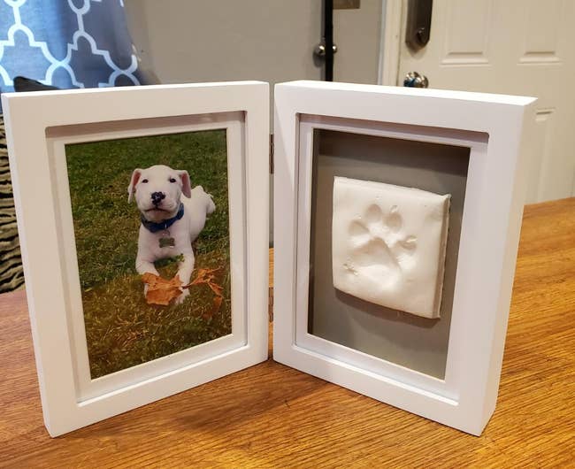 Reviewer image of framed photo of white dog next to paw print