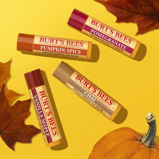 Four tubes of Burt's Bees articulator balm successful Pumpkin Spice, Pomegranate, Vanilla Maple, and Chai flavors, arranged with autumn leaves and a pumpkin