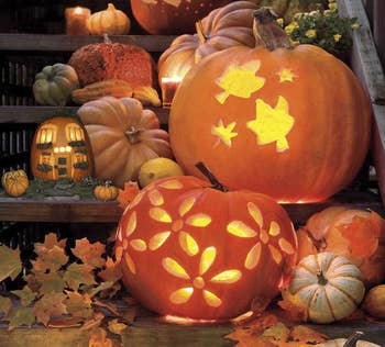 Fall Products 24 Products That Will Make You Excited For Fall
