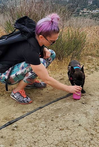 dog owner letting their dog drink from the water bottle on a hike